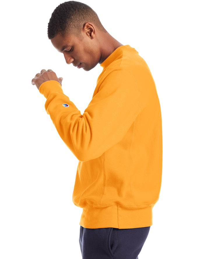 Champion sweater sale gold online